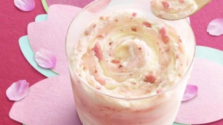Combien Coute Une Glace Au Mcdo glace mc flurry thermomix - le plaisir des enfants avec thermomix