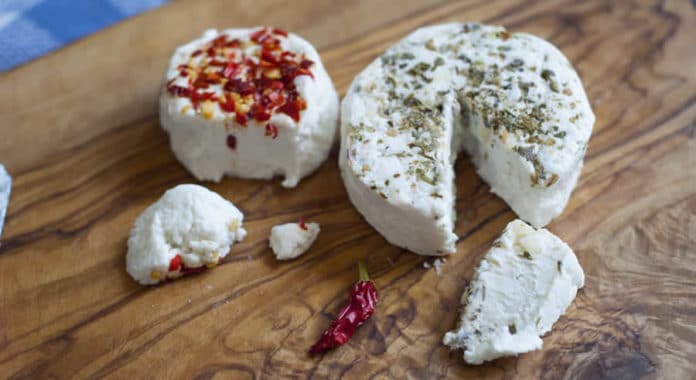 Fromages de chèvre fait maison au thermomix