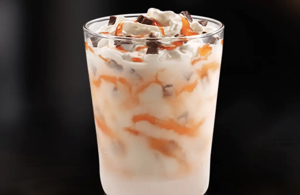 McFlurry maison au Thermomix