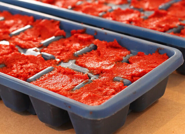 Concentre de tomate maison au Thermomix