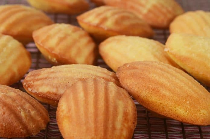 madeleines faciles au thermomix