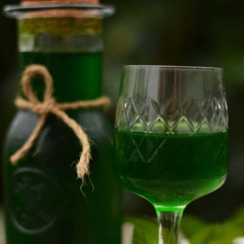 Recette facile de sirop de menthe au Thermomix : Un incontournable pour vos boissons estivales
