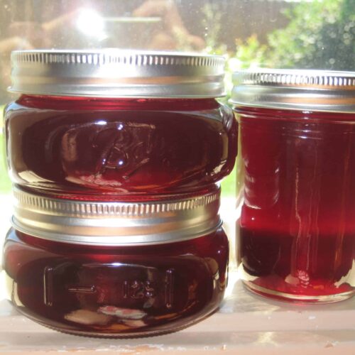 Gelée de cerises au thermomix