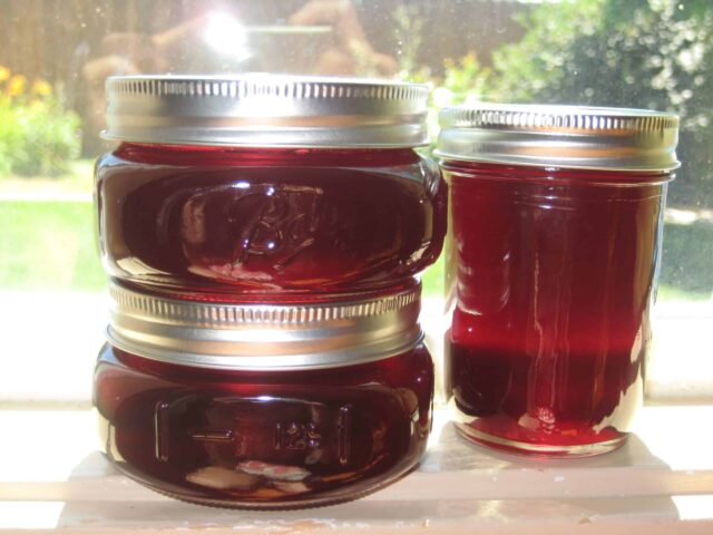 Gelée de cerises au Thermomix