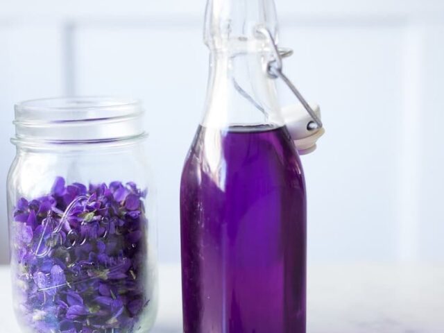 Sirop de lavande au Thermomix