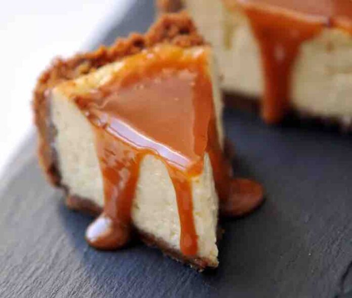Cheesecake au speculoos sans cuisson au Thermomix
