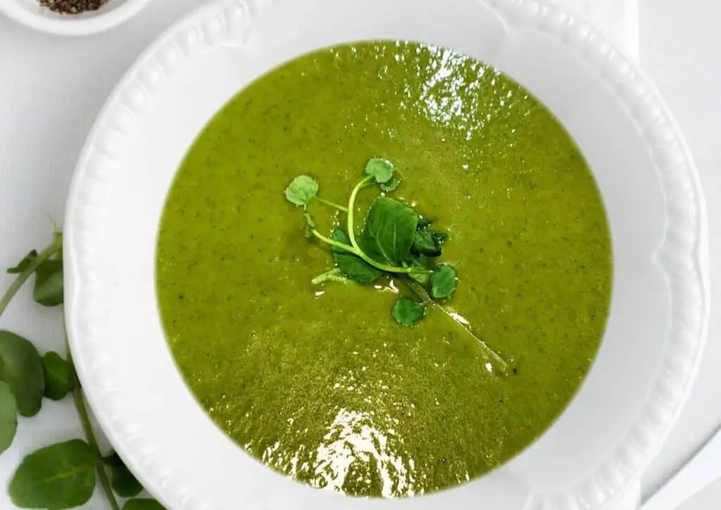 Velouté de cresson à l’ail au Thermomix