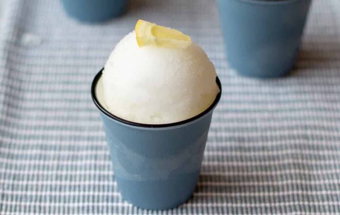 Sorbet Gin et Tonic au Thermomix