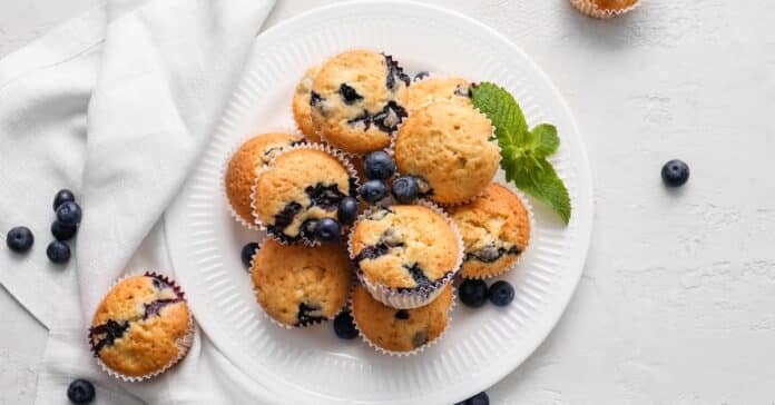 Muffins aux Myrtilles Healthy : Un Régal Gourmand sans Remords