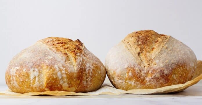 La recette de Pains au levain à tomber par terre : Le secret des boulangers