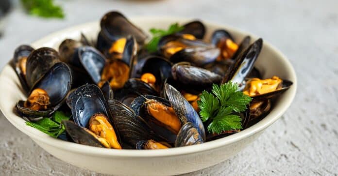 Recette facile de moules marinières : prêtes en 20 minutes