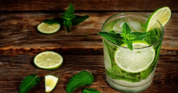 Virgin Mojito au Thermomix : La recette rafraîchissante pour des moments de détente sans alcool