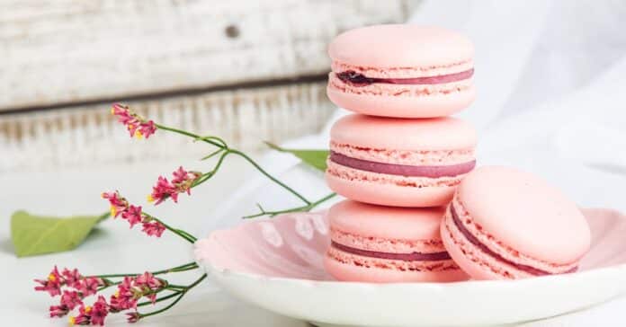 Macarons à la fraise au Thermomix : Une symphonie gustative entre douceur et fraîcheur fruitée