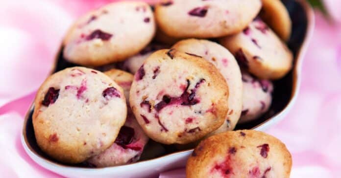 Biscuits aux Canneberges au Thermomix : Un Délice Fruité