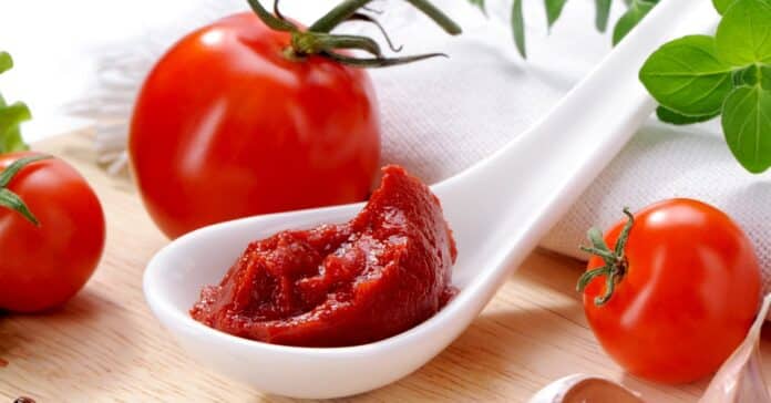 Recette de Concentré de Tomates Maison au Thermomix : Un Ingrédient Essentiel pour Vos Plats