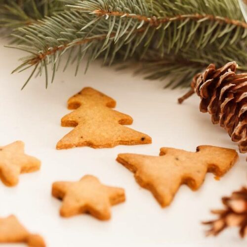 Biscuits Sablés Sans Œufs au Thermomix : Recette Gourmande