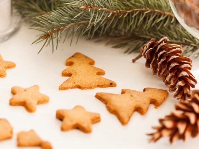 Biscuits Sablés Sans Œufs au Thermomix : Recette Gourmande