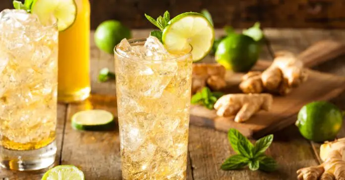 Ginger Beer au Citron Vert et Menthe au Thermomix : Une Boisson Pétillante et Désaltérante