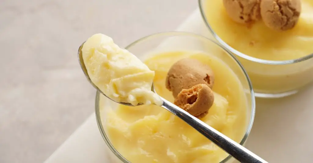 Pudding Crémeux à la Vanille au Thermomix : Délice Gourmand