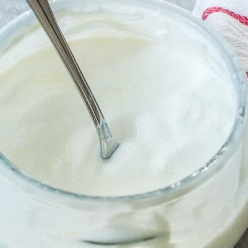 Yaourt de chèvre fait maison au Thermomix : Une Délicieuse Fabrication Maison