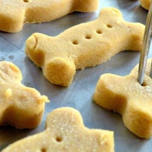 Biscuits pour Chiens au Thermomix : Des Gourmandises pour Votre Compagnon à Quatre Pattes