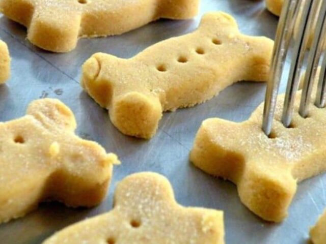 Biscuits pour Chiens au Thermomix : Des Gourmandises pour Votre Compagnon à Quatre Pattes