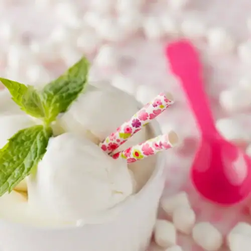 Glace au Yaourt Grec et Miel au Thermomix
