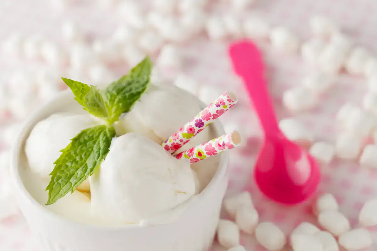Glace au Yaourt Grec et Miel au Thermomix