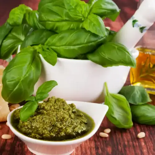 Pesto de basilic a congeler au Thermomix